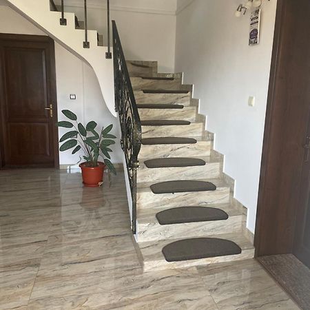 Pensiunea Sonia Cartisoara Ngoại thất bức ảnh